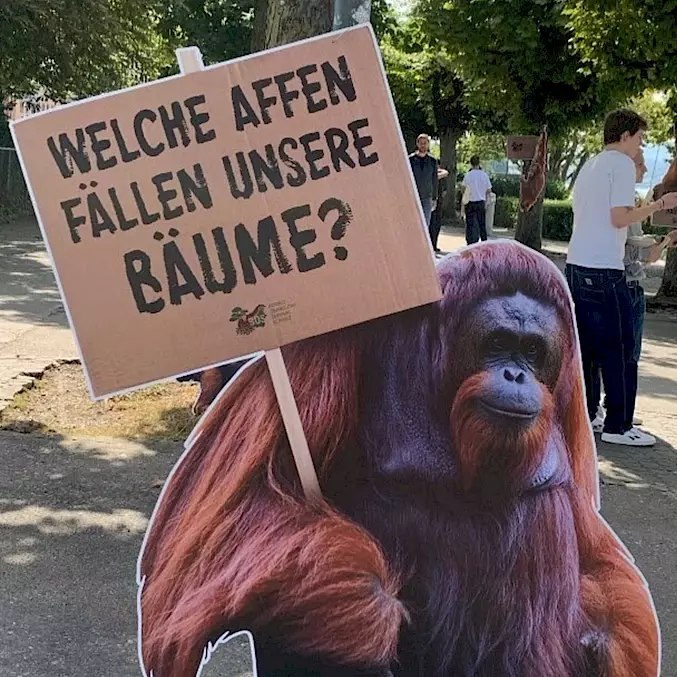 Hauptbild: Mit der PR-Aktion "Affendemo" zeigte BOS Schweiz auf, wie wichtig Wald- und Artenschutz auf Borneo ist. Auch für die Schweiz.