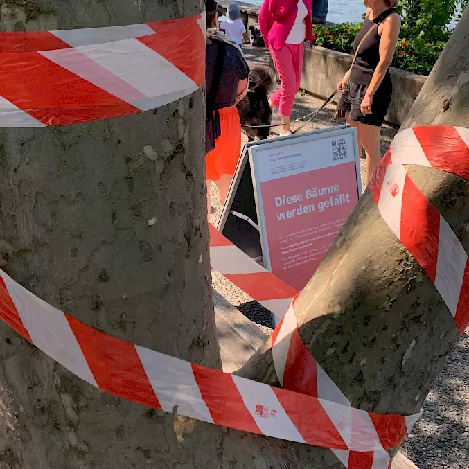 Hauptbild: Mit Absperrband (das übrigens kompostierbar ist) markierte Bäume am Zürcher Seeufer.