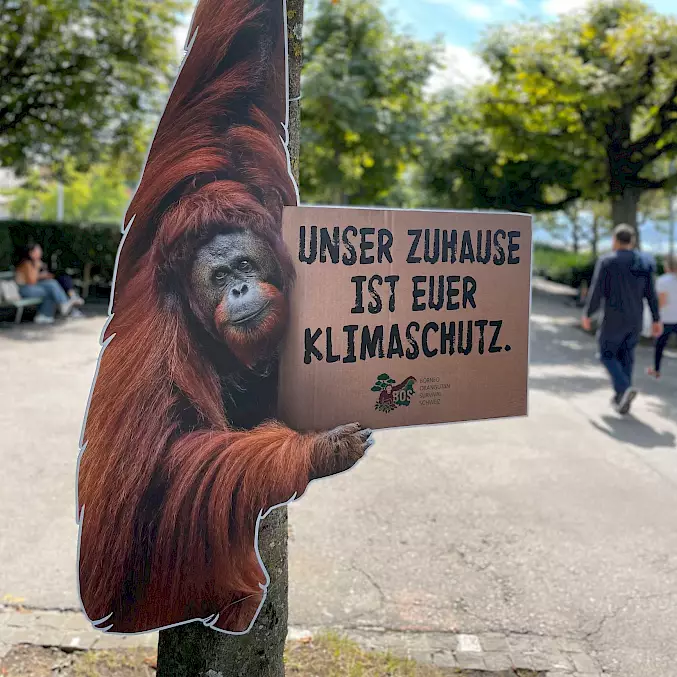 Mit der PR-Aktion "Affendemo" zeigte BOS Schweiz auf, wie wichtig Wald- und Artenschutz auf Borneo ist. Auch für die Schweiz. © Anastasiia Polishchuk