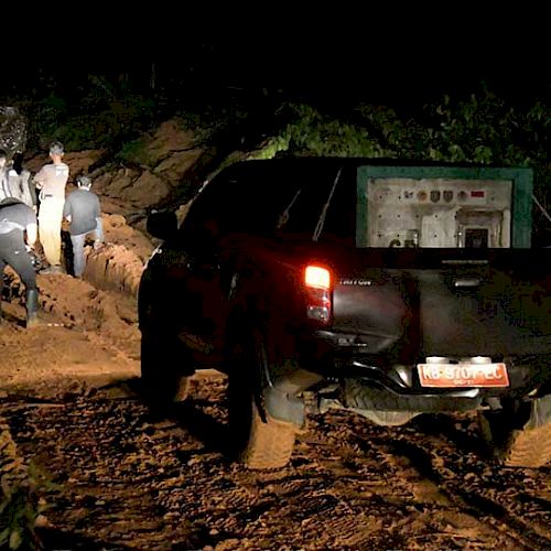 In der Nacht wird ein Orang-Utan zum Freilassungsort transportiert