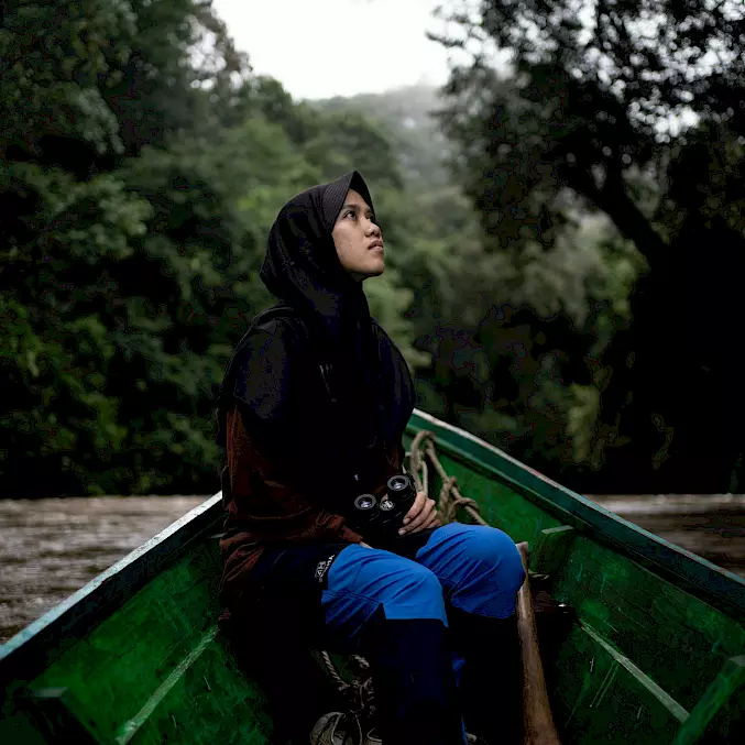 Hauptbild: Eine BOS-Mitarbeiterin beobachtet vom Boot aus den Regenwald und sucht nach ausgewilderten Orang-Utans. © BOS Foundation