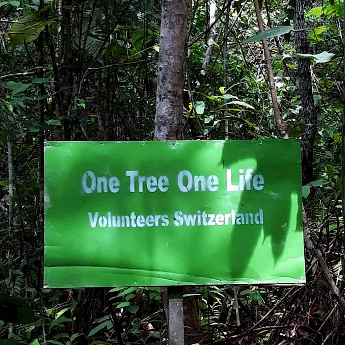 "Schild One Tree One Life" - Symbolisiert die Aufforstungskampagne von BOS Schweiz, ein wichtiger Schritt im Bereich Waldschutz.