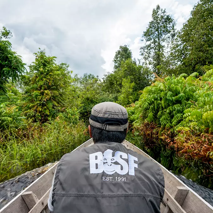 Das Team der BOS Foundation setzt sich mit Expertise und Herzblut für den Arten- und Waldschutz ein. © Andrew Suryono | BOSF | BOS Schweiz