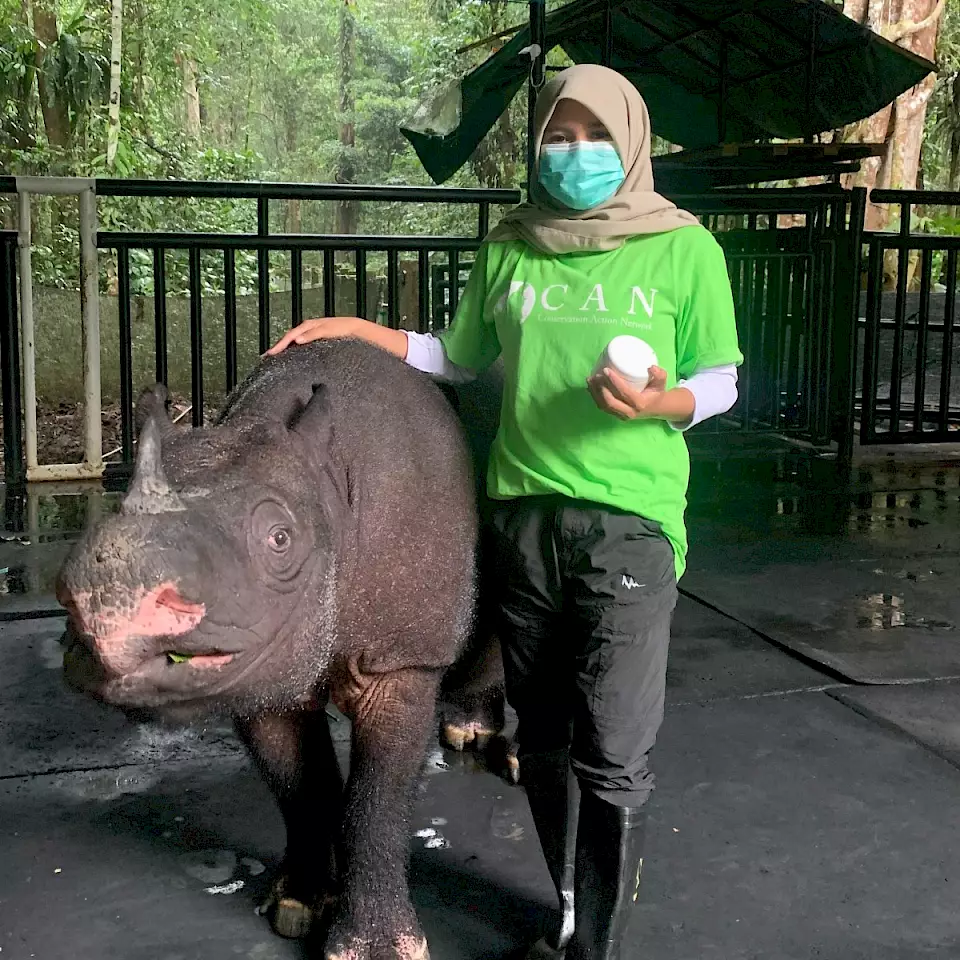 "Nashorn mit CAN-Mitarbeiterin" - BOS Schweiz-Partnerin CAN half den Behörden bei der Pflege eines der letzten Sumatra Nashörner.