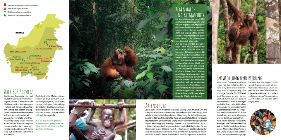 Blick in den BOS-Flyer "BOS auf einen Blick"