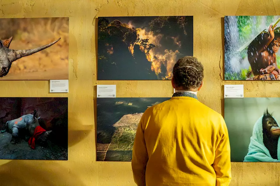 Ein Besucher betrachtet die Exponate der BOS-Jubiläumsausstellung