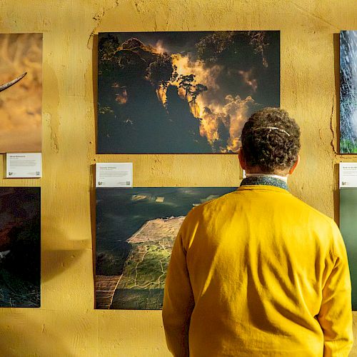 Ein Besucher betrachtet die Exponate der BOS-Jubiläumsausstellung