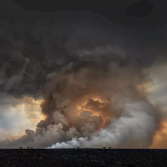 Grosses Bild: Verheerendes Feuer in den Maasaimara-Savannen. © Marco Gaiotti