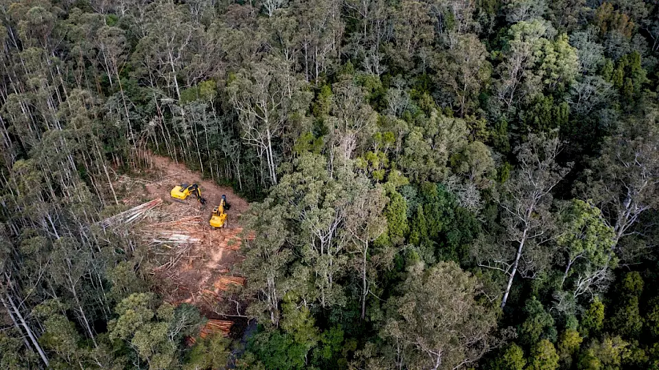 Abholzungsarbeiten in Australien