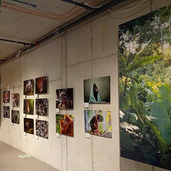 Grosses Bild: In der Umwelt Arena Schweiz warten über 50 beeindruckende Exponate auf Sie.