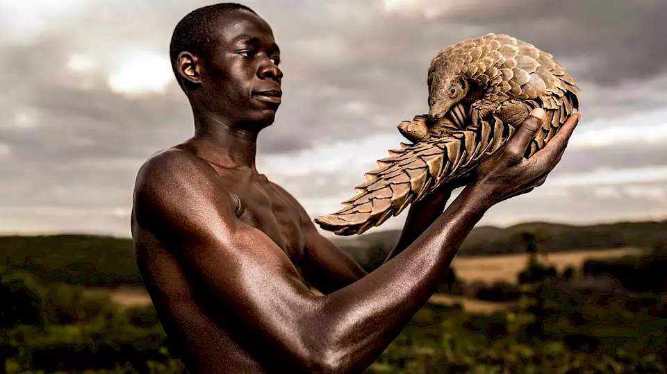 Der Pangolin-Mann hält eines der Tiere in die Luft.