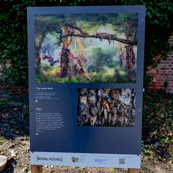 Grosses Bild: Einblick in die Outdoor-Ausstellung im Botanischen Garten der Universität Wien. © Rudolf-Hromniak