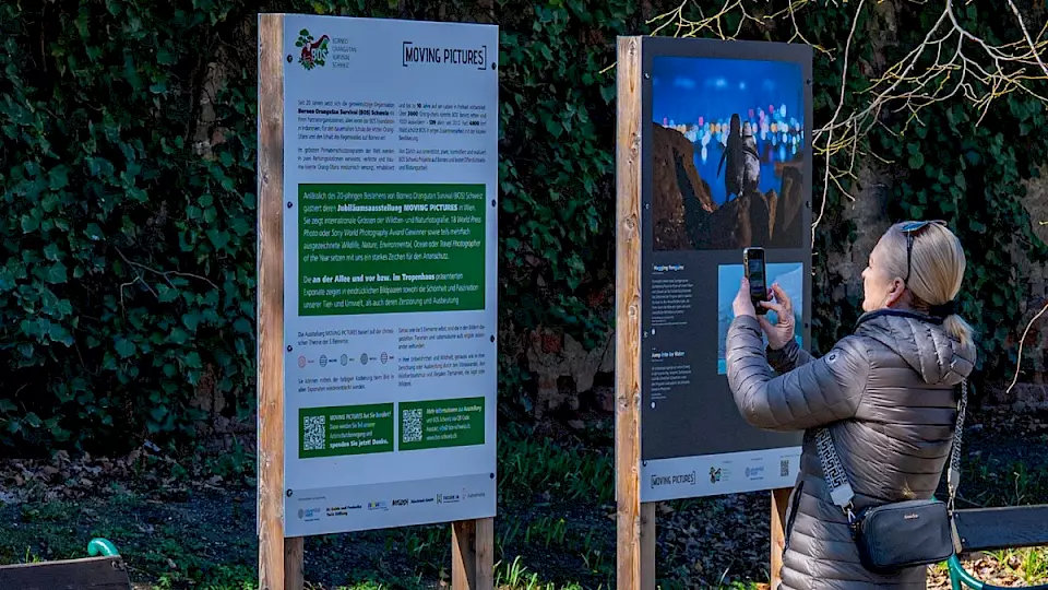 Ausstellung im Botanischen Garten
