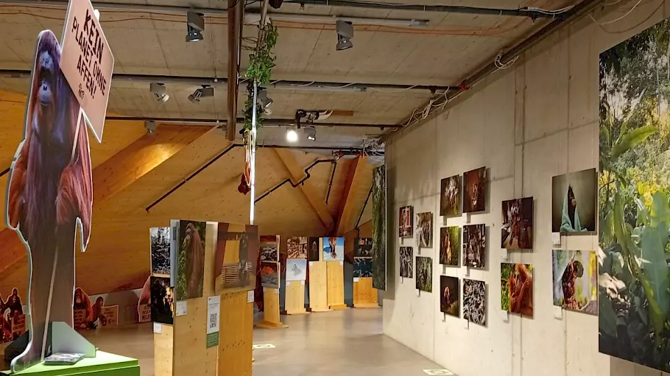 Einblick in die Fotoausstellung