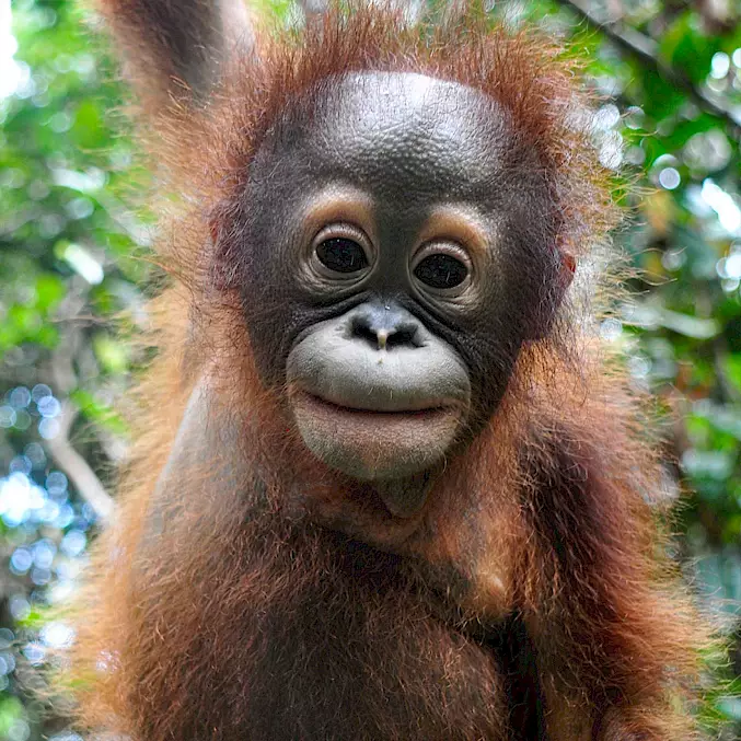 Grande image : Jeni souffle de l'air entre ses lèvres. © BOSF I BOS Suisse