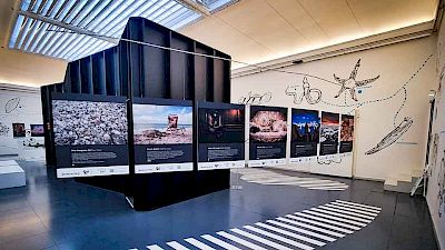 Die Orang-Utans erobern die Westschweiz