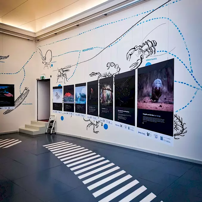Grosses Bild: Die Ausstellung findet im Raum für ausgestorbene Arten statt.