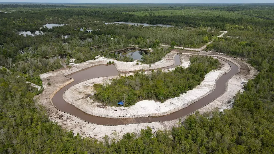 Bewaldete Flussinsel im Bau