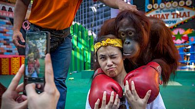 Interview: Was kann ich gegen Wildtierhandel und Wildtiertourismus tun?