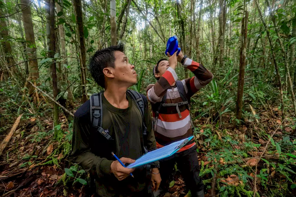 Ein Team beobachtet Orang-Utan-Nester