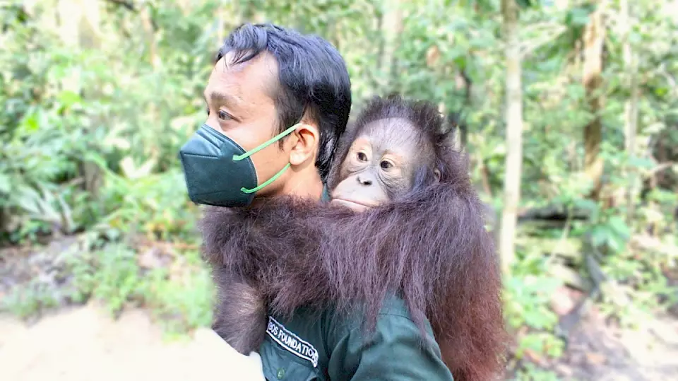 Nurdiyono mit Orang-Utan