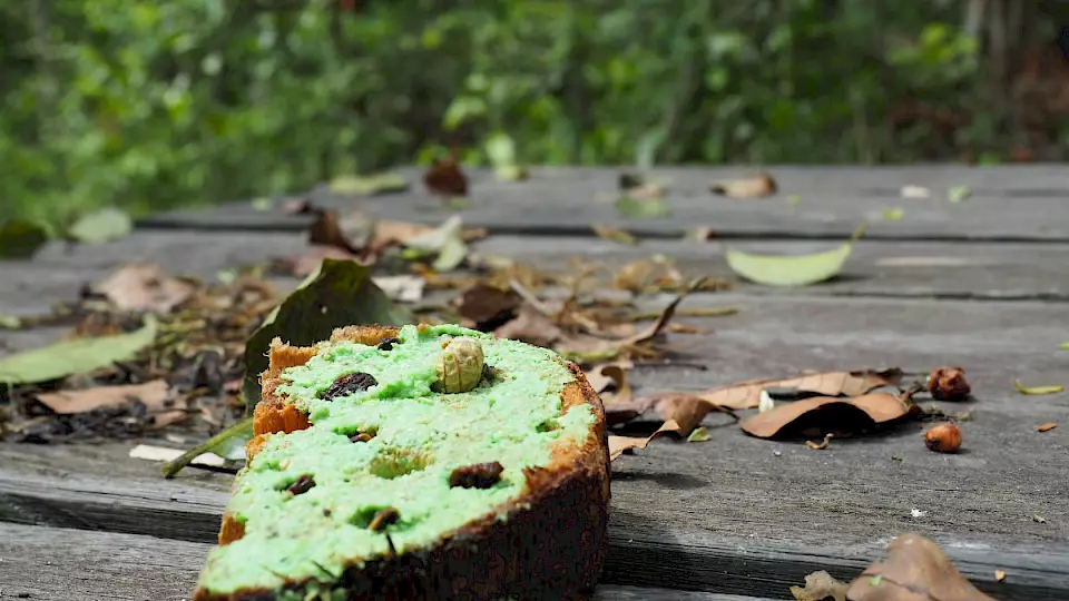 Futterrätsel für Orang-Utans